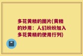 多花黄精的图片(黄精的妙用：人们纷纷加入多花黄精的使用行列)