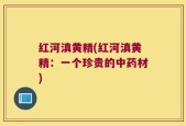 红河滇黄精(红河滇黄精：一个珍贵的中药材)