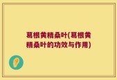 葛根黄精桑叶(葛根黄精桑叶的功效与作用)