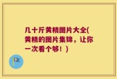 几十斤黄精图片大全(黄精的图片集锦，让你一次看个够！)