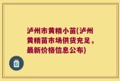 泸州市黄精小苗(泸州黄精苗市场供货充足，最新价格信息公布)