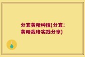 分宜黄精种植(分宜：黄精栽培实践分享)