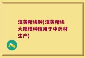 滇黄精块钟(滇黄精块大规模种植用于中药材生产)