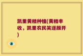 凯里黄精种植(黄精丰收，凯里农民笑逐颜开)