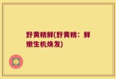 野黄精鲜(野黄精：鲜嫩生机焕发)