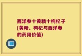 西洋参十黄精十枸杞子(黄精、枸杞与西洋参的药用价值)