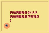 天柱黄精是什么(认识天柱黄精及其功效特点)