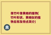 像竹叶像黄精的植物(竹叶形状、黄精似的植物名称及特点简介)