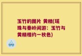 玉竹的图片 黄精(瑶珠与秦岭闲游：玉竹与黄精相约一秋色)
