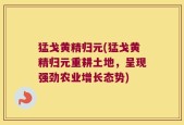 猛戈黄精归元(猛戈黄精归元重耕土地，呈现强劲农业增长态势)