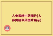 人参黄精中药图片(人参黄精中药图片展示)