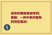 成块的黄精是啥样的(黄精：一种中草药植物的特征描述)