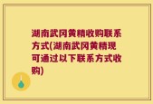 湖南武冈黄精收购联系方式(湖南武冈黄精现可通过以下联系方式收购)