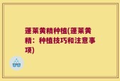 蓬莱黄精种植(蓬莱黄精：种植技巧和注意事项)