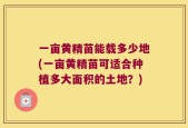 一亩黄精苗能载多少地(一亩黄精苗可适合种植多大面积的土地？)