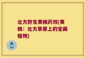 北方野生黄精药效(黄精：北方草原上的宝藏植物)