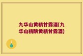 九华山黄精甘露酒(九华山精酿黄精甘露酒)