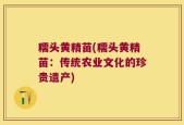糯头黄精苗(糯头黄精苗：传统农业文化的珍贵遗产)