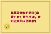 桑葚黄精和巴戟天(桑黄巴合：益气生津，壮阳滋阴的天然药材)