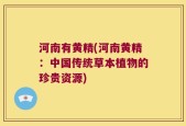 河南有黄精(河南黄精：中国传统草本植物的珍贵资源)