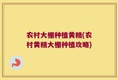 农村大棚种植黄精(农村黄精大棚种植攻略)