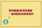 葛洪黄精(葛洪的黄精：起死回生的神奇草药)