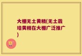 大棚无土黄精(无土栽培黄精在大棚广泛推广)