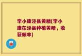李小康泾县黄精(李小康在泾县种植黄精，收获颇丰)