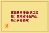 诸暨黄精种植(浙江诸暨：黄精成特色产业，助力乡村振兴)