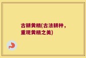 古耕黄精(古法耕种，重现黄精之美)