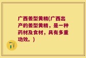 广西姜型黄精(广西出产的姜型黄精，是一种药材及食材，具有多重功效。)