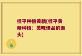 桂平种植黄精(桂平黄精种植：美味佳品的源头)