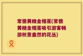 常德黄精金相莲(常德黄精金相莲吸引游客畅游秋意盎然的花丛)