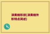 滇黄精形状(滇黄精外形特点简述)