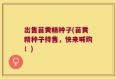出售苗黄精种子(苗黄精种子待售，快来喊购！)