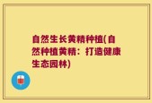 自然生长黄精种植(自然种植黄精：打造健康生态园林)