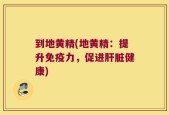 到地黄精(地黄精：提升免疫力，促进肝脏健康)
