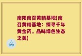 南阳南召黄精基地(南召黄精基地：探寻千年黄金药，品味绿色生态之美)