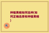种植黄精如何选种(如何正确选择和种植黄精)