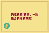 狗吃黄精(黄精，一款适合狗吃的草药)
