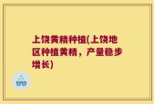上饶黄精种植(上饶地区种植黄精，产量稳步增长)