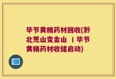 毕节黄精药材回收(黔北荒山变金山 丨毕节黄精药材收储启动)