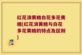 红花滇黄精白花多花黄精(红花滇黄精与白花多花黄精的特点及区别)