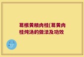 葛根黄精肉桂(葛黄肉桂炖汤的做法及功效