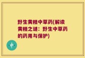 野生黄精中草药(解读黄精之谜：野生中草药的药用与保护)