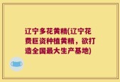 辽宁多花黄精(辽宁花费巨资种植黄精，欲打造全国最大生产基地)