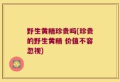 野生黄精珍贵吗(珍贵的野生黄精 价值不容忽视)