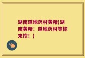 湖南道地药材黄精(湖南黄精：道地药材等你来挖！)