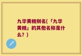 九华黄精别名(「九华黄精」的其他名称是什么？)