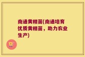 南通黄精苗(南通培育优质黄精苗，助力农业生产)